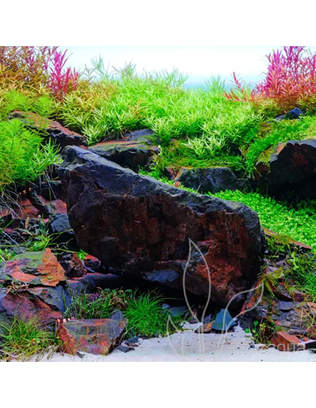 Twinstar Light V 1200S