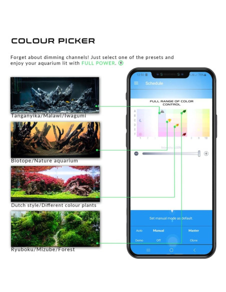 Skylight - FOQAL FXS.15s