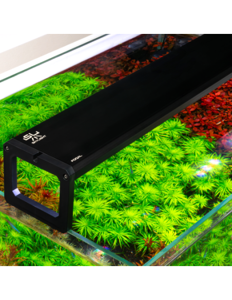 Skylight - FOQAL FXL.75s