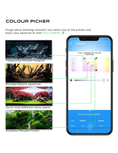 Skylight - FOQAL FXL.75s