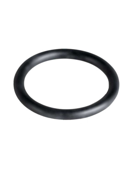 AquaCare - Joint torique de rechange