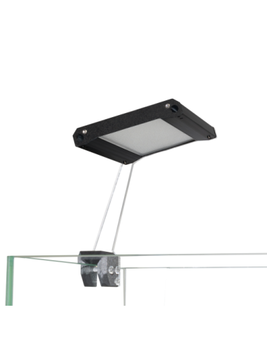 Skylight FOQAL FXS.15 SH