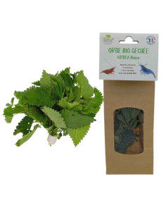 Ortie BIO (feuille) - Urtica Dioica