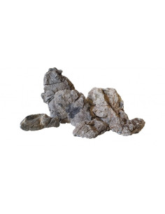 Seiryu Stone -Taille S - 5 à 10cm