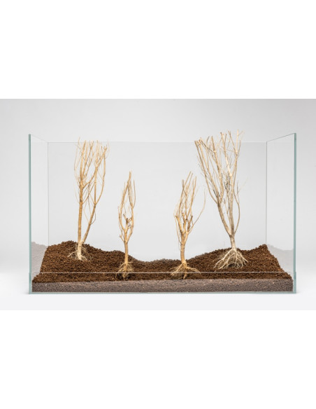 Slim Tree M 20-30 cm