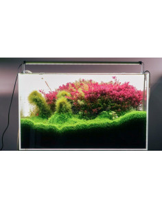 Chihiros B30 - 30-50cm 2