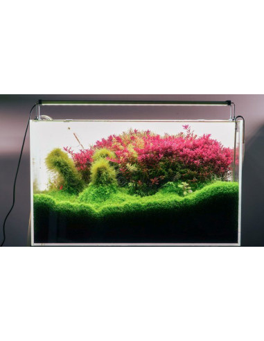 Chihiros B30 - 30-50cm