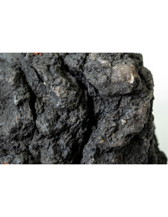 Lava Black Indonesia 5-10 cm (au kilo) 2