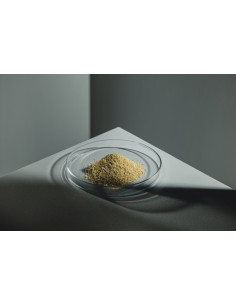 StreamBiz - Guppy Granulat Color 40g 2