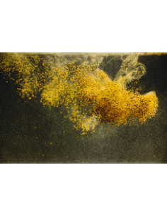StreamBiz - Salmler Natur Granulat  40g 2