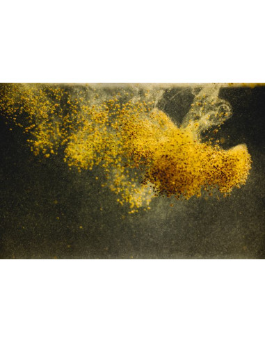 StreamBiz - Salmler Natur Granulat  40g