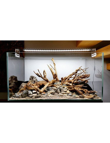 Racine Talawa Wood -30 à 45 cm