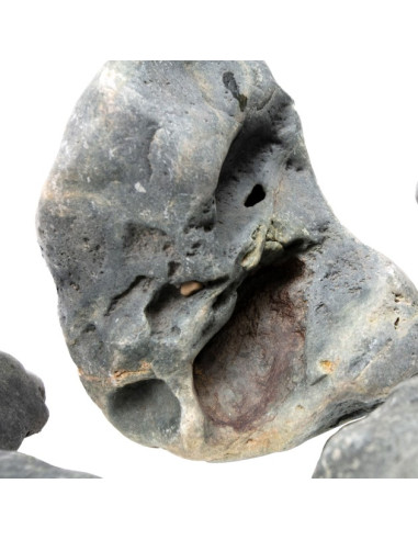 Hakkai Stone 20-30cm (au kilo)