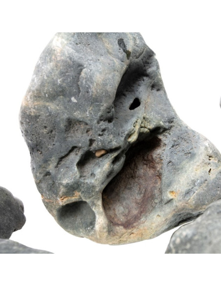 Hakkai Stone 20-30cm (au kilo)