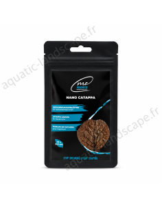 Me - Nano Feuilles de Catappa 5-9cm x12pcs