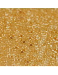 Dupla - Gel-o-Juice Artemia micro (50 ml) 2