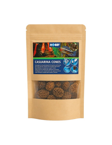 Hobby - Casuarina Cones (25 pcs)