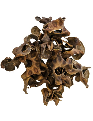 Hobby - Jungle Star Flowers  (25 pcs)