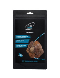 Me - Feuilles de Catappa 15 -20cm x12pcs