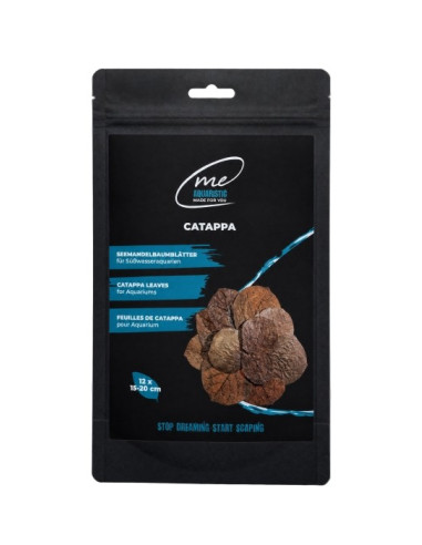 Me - Feuilles de Catappa 15 -20cm x12pcs