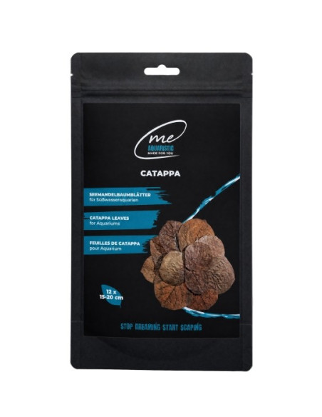 Me - Feuilles de Catappa 15 -20cm x12pcs
