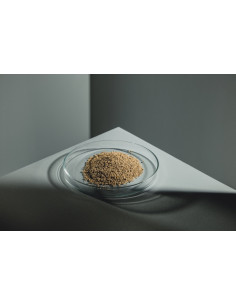 StreamBiz - Immun Plus Granulat 80g 2