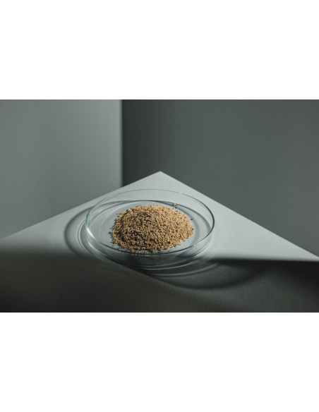 StreamBiz - Immun Plus Granulat 80g