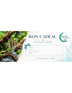 Bon cadeau 100€