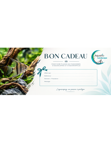 Bon cadeau 10€
