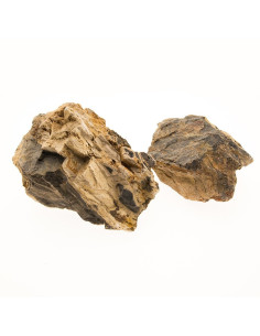 Fossil Wood - au kilo 2