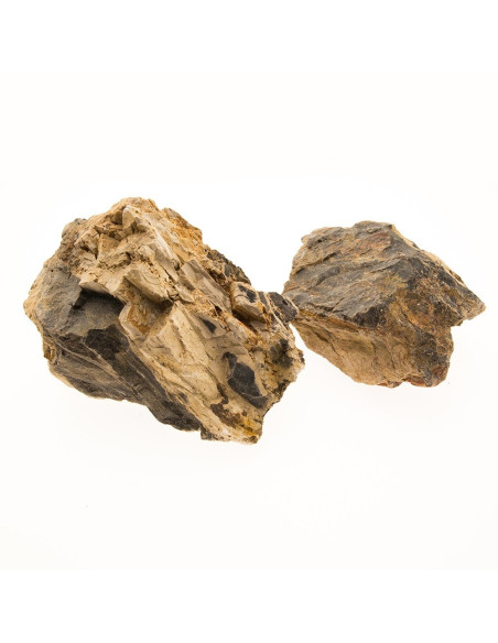 Fossil Wood - au kilo