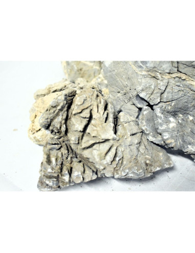 Millenium Stones (au kilo)