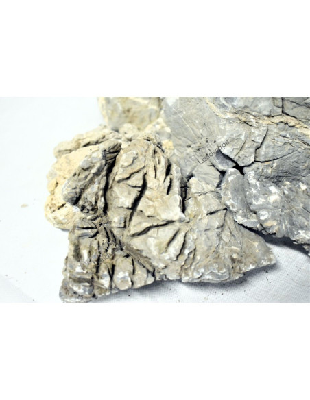 Millenium Stones (au kilo)