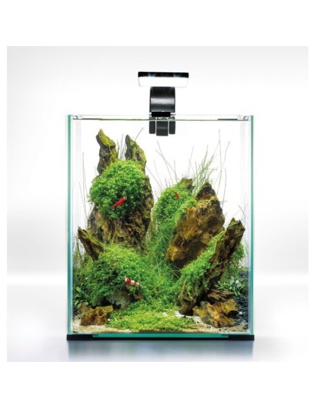 Shrimp Set Smart Day & NIght - 20L NOIR