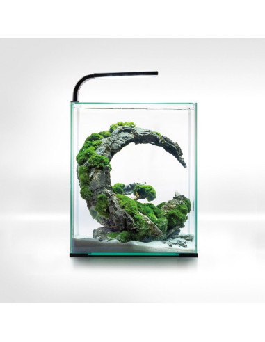 Shrimp Set Smart Day & NIght - 20L NOIR