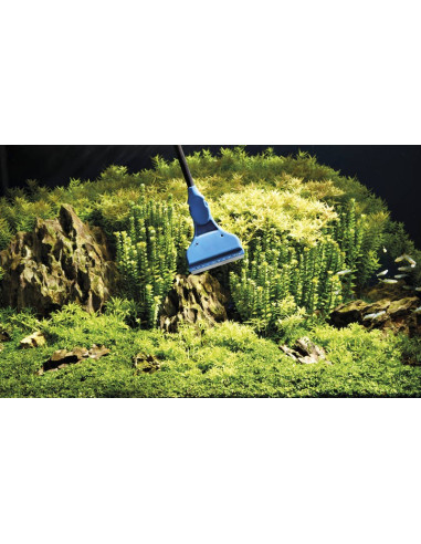 Oase - Nettoyeur de vitre