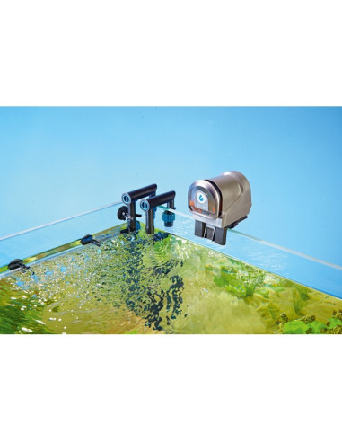 Oase - Support FishGuard