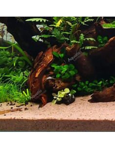 JBL - Sansibar red 5kg 2