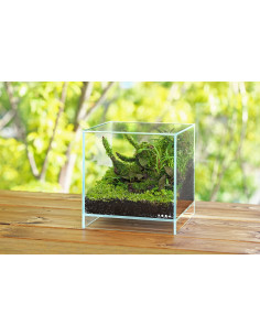 DOOA Neo Glass AIR L20xP20xH20cm 2