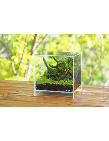 DOOA Neo Glass AIR L20xP20xH20cm