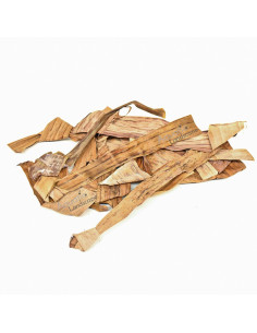Fragments de feuilles de bananier x10