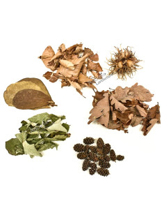 Mix 6 Produits Naturels Nano