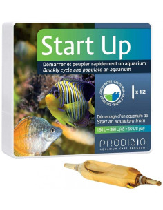 Prodibio - Start UP 12 Ampoules