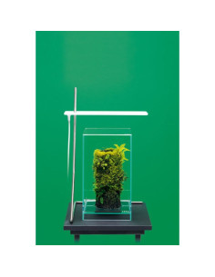 DOOA Neo Glass AIR L20xP20xH35cm 2
