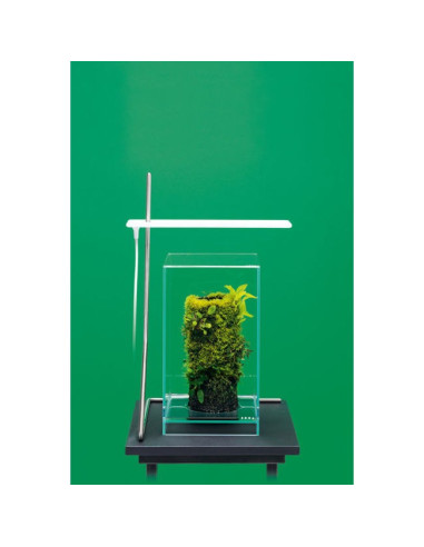 DOOA Neo Glass AIR L20xP20xH35cm