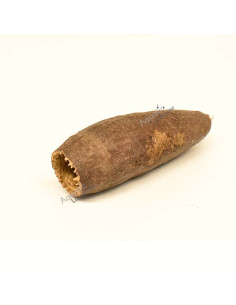 Jecetiba Cap