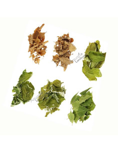 Mix 6 Feuilles D'arbres Naturelles