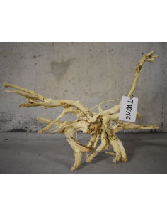 Racine twisted roots twm6