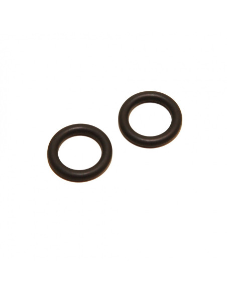 JBL - Joint pour ProFlora M001 (lot de 2)