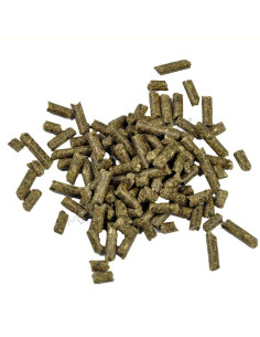 Dr. Bassleer - Biofish Food shrimp sticks Regular 60gr 2